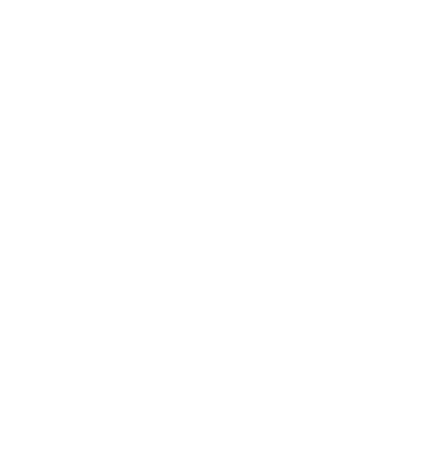 APEX Capital Realty